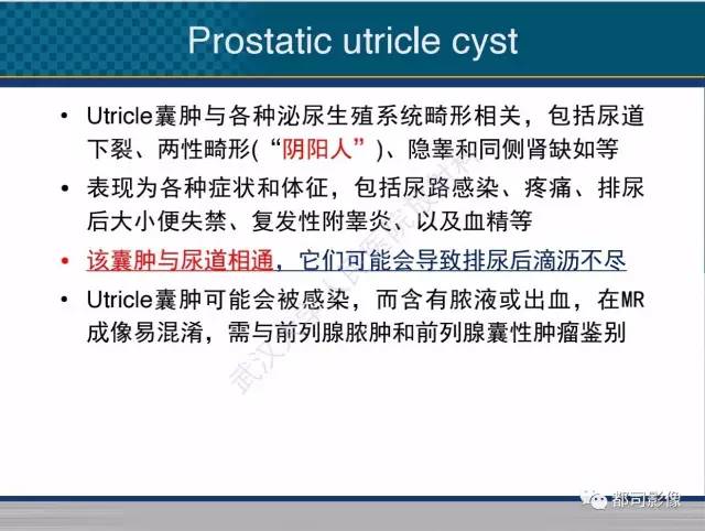 【PPT】男性下泌尿生殖道囊肿影像学鉴别诊断