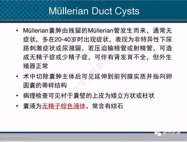【PPT】男性下泌尿生殖道囊肿影像学鉴别诊断