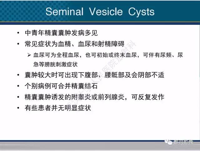 【PPT】男性下泌尿生殖道囊肿影像学鉴别诊断