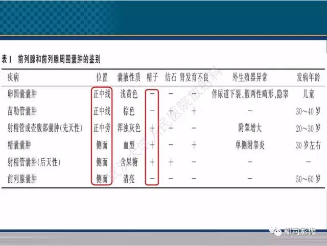 【PPT】男性下泌尿生殖道囊肿影像学鉴别诊断