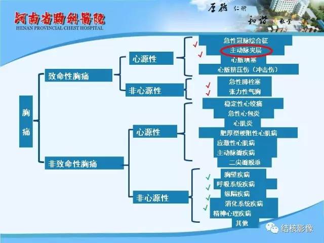 【PPT】胸痛相关疾病的影像诊断