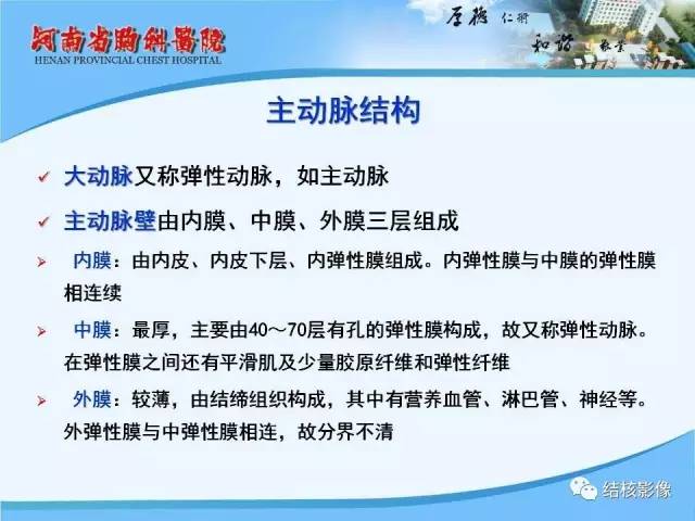 【PPT】胸痛相关疾病的影像诊断