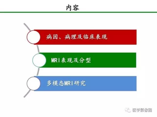 【PPT】新生儿局灶性白质损伤的MRI