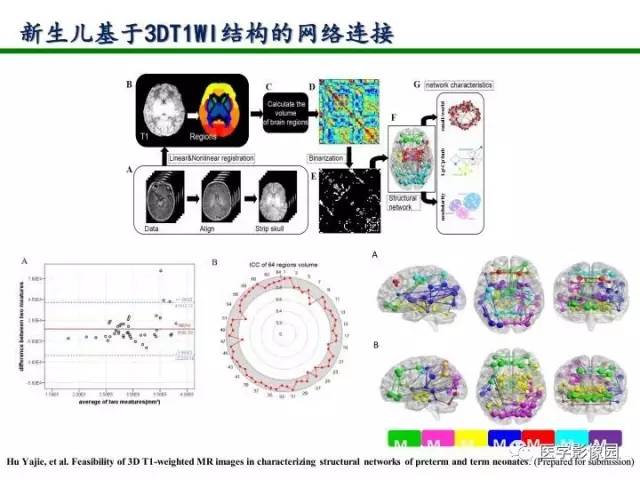【PPT】新生儿局灶性白质损伤的MRI