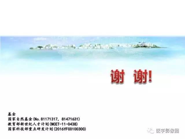 【PPT】新生儿局灶性白质损伤的MRI