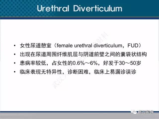 【PPT】女性尿道周围囊肿影像学鉴别诊断