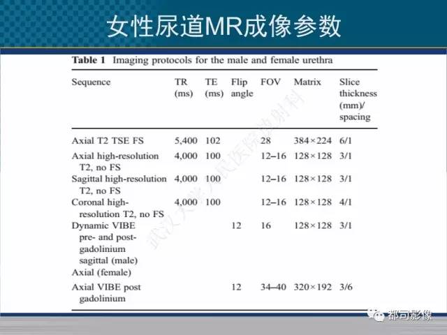 【PPT】女性尿道周围囊肿影像学鉴别诊断