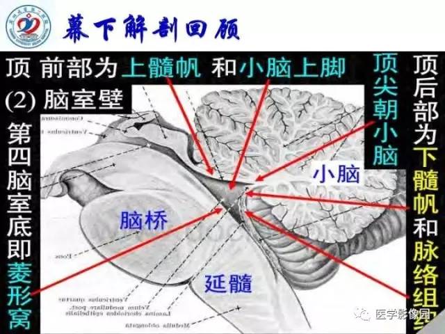 【PPT】儿童幕下脑肿瘤的诊断思路和功能MRI的规范使用