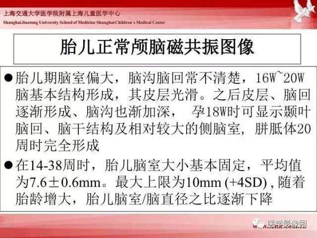 【PPT】胎儿神经系统MR检查规范与诊断思路