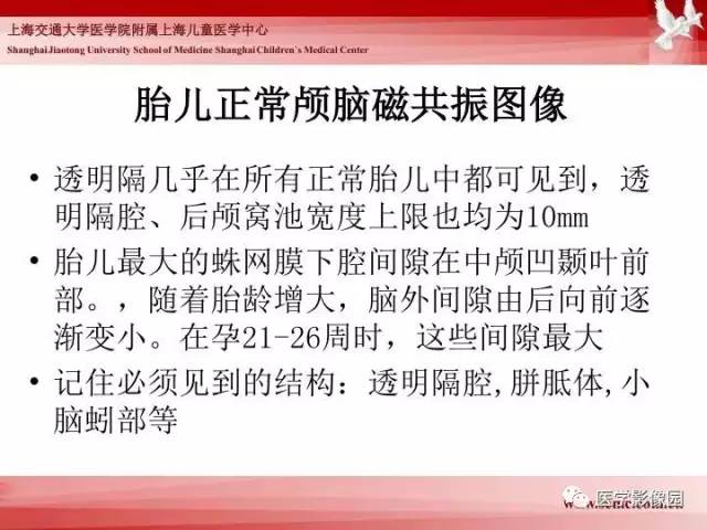 【PPT】胎儿神经系统MR检查规范与诊断思路