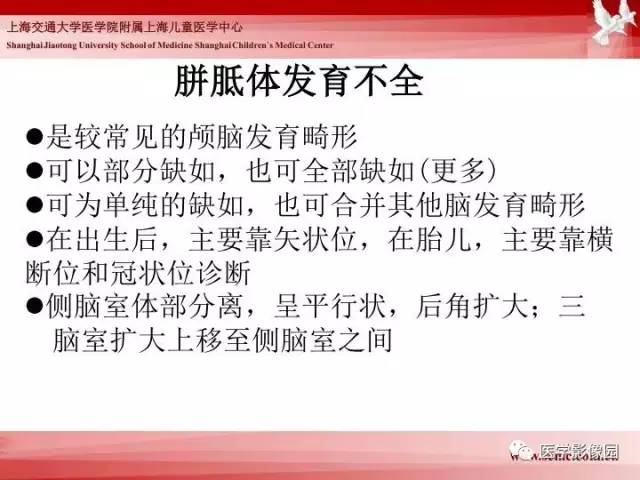 【PPT】胎儿神经系统MR检查规范与诊断思路