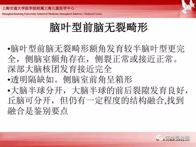 【PPT】胎儿神经系统MR检查规范与诊断思路