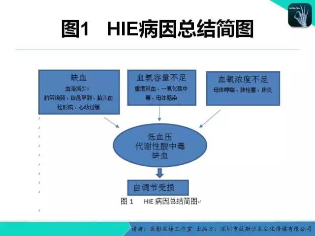 【PPT】新生儿缺氧缺血性脑病多模态影像学表现
