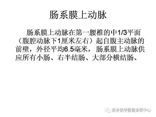 肠系膜上下动脉的解剖和分布图
