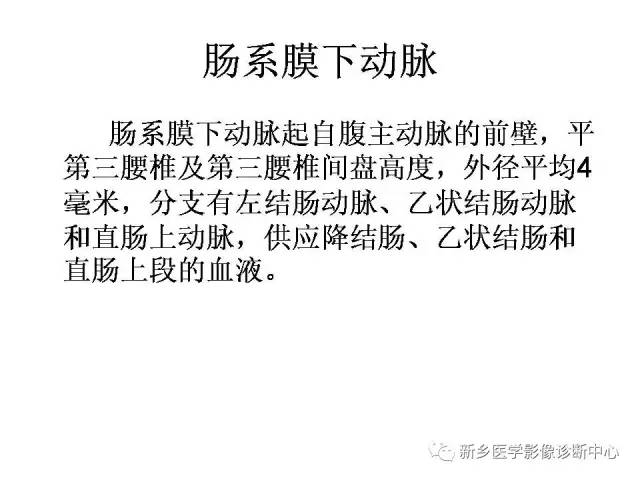 肠系膜上下动脉的解剖和分布图