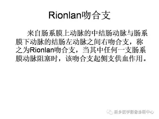 肠系膜上下动脉的解剖和分布图