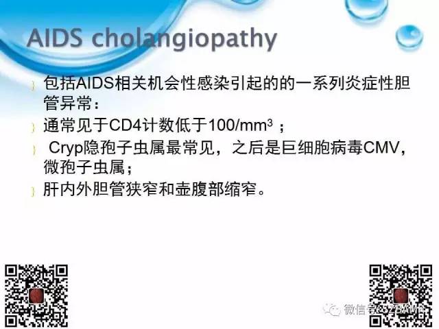 【PPT】胆道狭窄和胆道肿块样病变