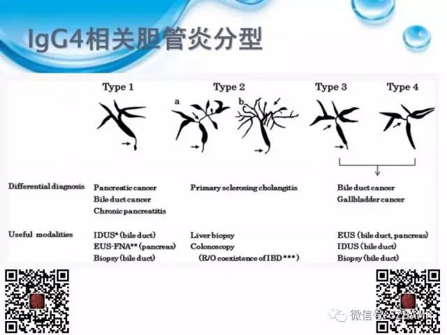 【PPT】胆道狭窄和胆道肿块样病变