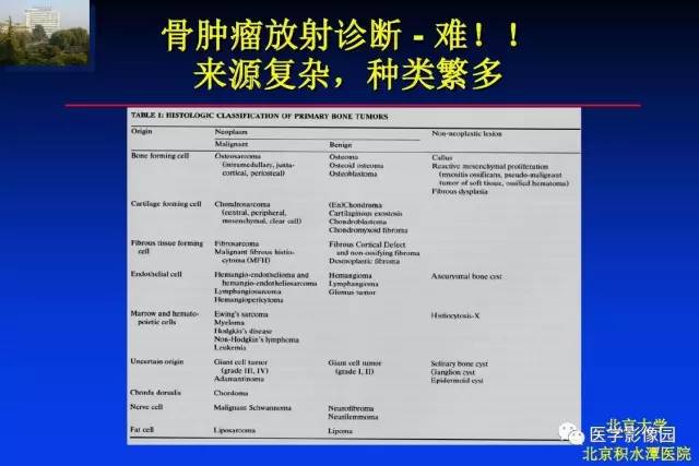 【PPT】骨肿瘤影像分析方法和诊断思路