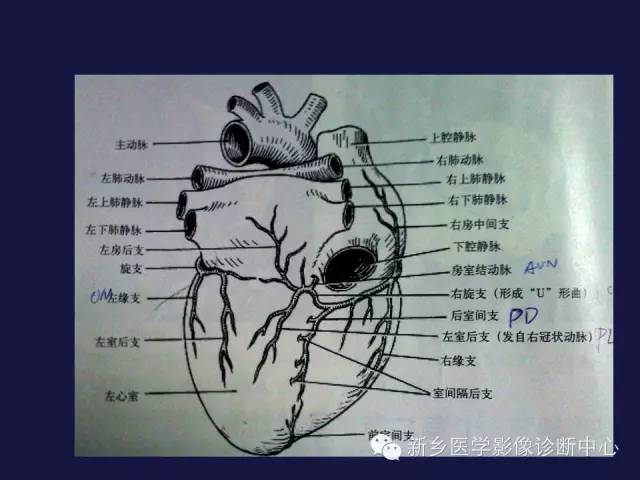 【PPT】64排后时代CT在心血管疾病的应用