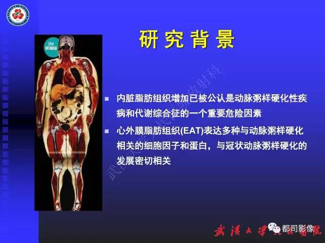 【PPT】MDCT定量评价冠心病患者心外膜脂肪组织与主动脉弹性及左心室舒张功能相关性