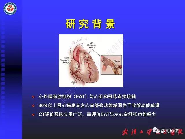 【PPT】MDCT定量评价冠心病患者心外膜脂肪组织与主动脉弹性及左心室舒张功能相关性