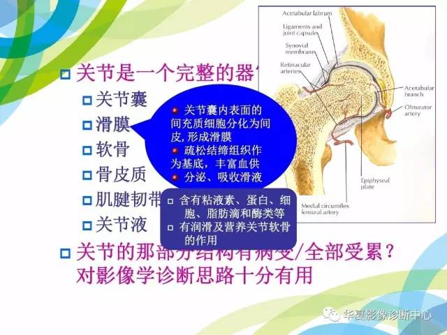 【PPT】骨肌系统影像学基本征象再认识