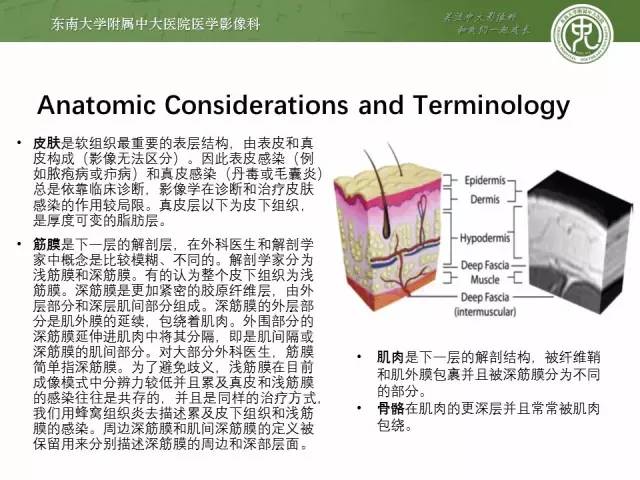 【PPT】软组织感染的影像学表现：从蜂窝织炎到坏死性筋膜炎