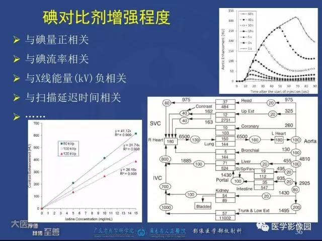 【PPT】对比剂安全与规范使用