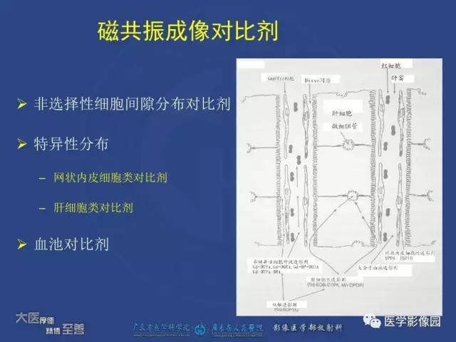 【PPT】对比剂安全与规范使用
