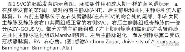 上腔静脉全面影像学回顾 上腔静脉全面影像学回顾
