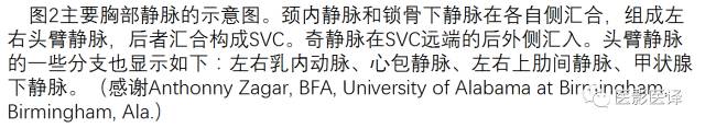 上腔静脉全面影像学回顾 上腔静脉全面影像学回顾
