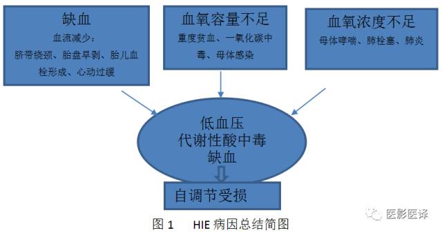 新生儿缺氧缺血性脑病多模态影像学表现 新生儿缺氧缺血性脑病多模态影像学表现