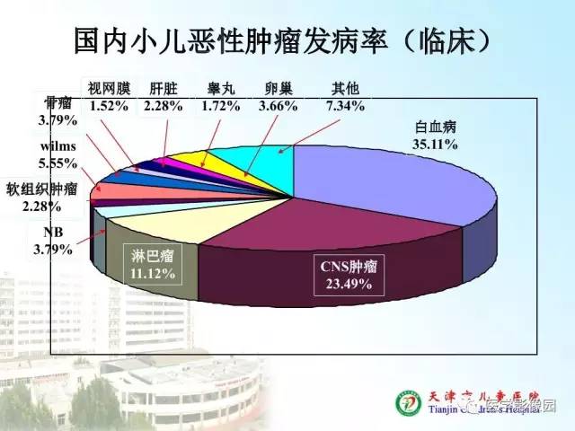 【PPT】小儿腹部肿瘤影像与病理对照