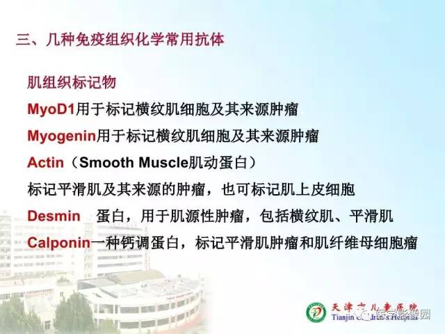 【PPT】小儿腹部肿瘤影像与病理对照