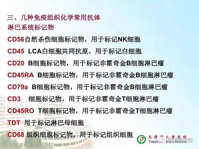 【PPT】小儿腹部肿瘤影像与病理对照