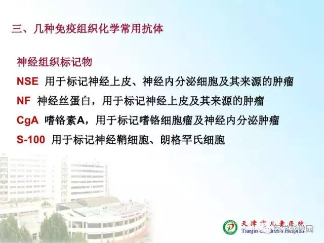 【PPT】小儿腹部肿瘤影像与病理对照