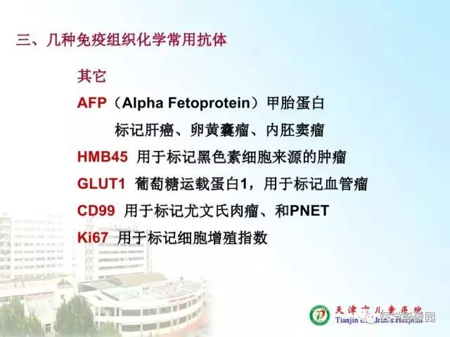 【PPT】小儿腹部肿瘤影像与病理对照