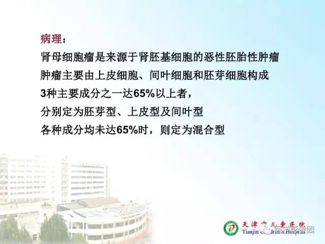 【PPT】小儿腹部肿瘤影像与病理对照