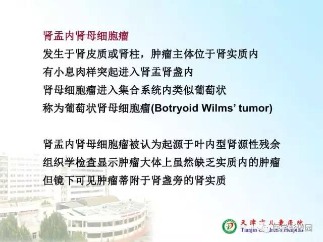 【PPT】小儿腹部肿瘤影像与病理对照