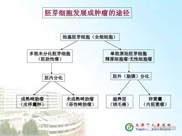 【PPT】小儿腹部肿瘤影像与病理对照