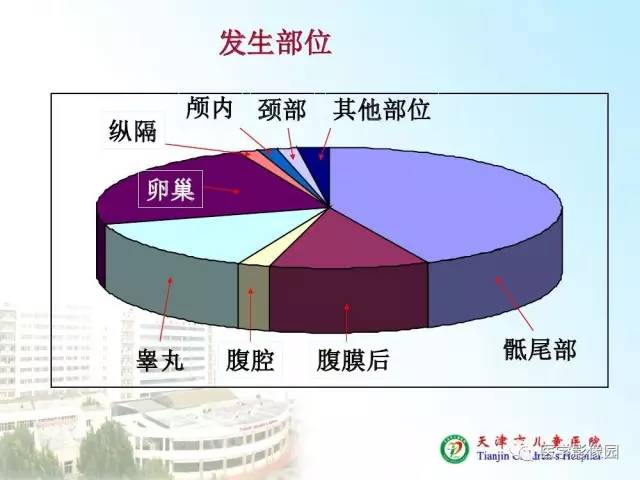 【PPT】小儿腹部肿瘤影像与病理对照