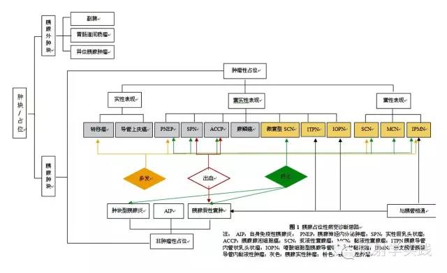按照这样的思路诊断胰腺肿块，您也能成为大咖!