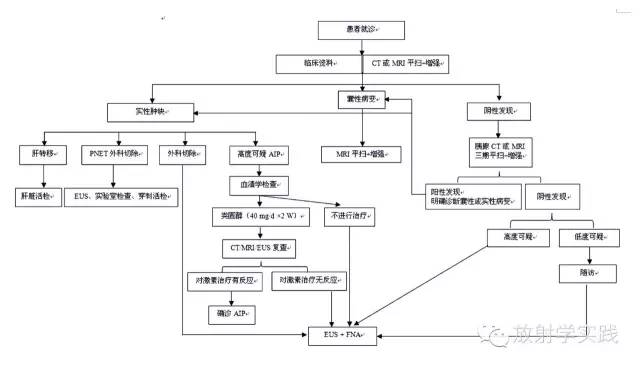 按照这样的思路诊断胰腺肿块,您也能成为大咖! 按照这样的思路诊断胰腺肿块,您也能成为大咖!