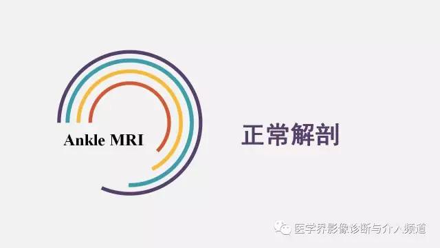 【PPT】踝关节解剖及正常MR表现