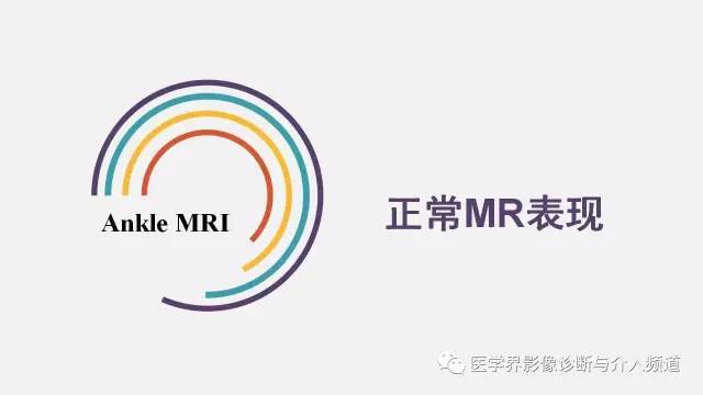 【PPT】踝关节解剖及正常MR表现