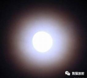 “晕征、反晕征”的鉴别诊断