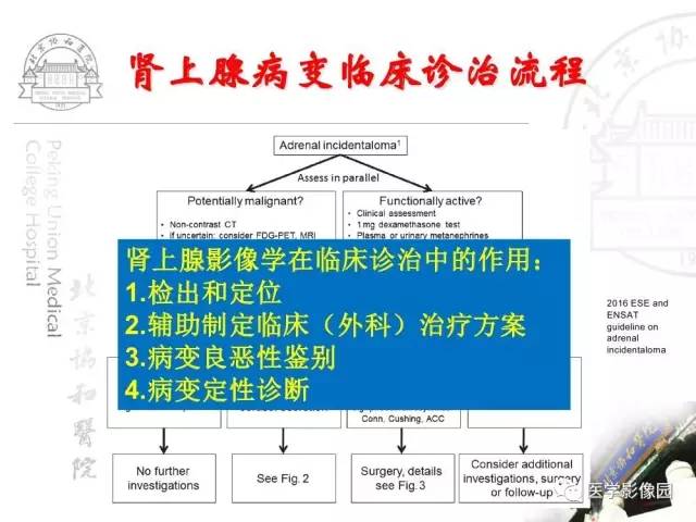 【PPT】肾上腺占位性疾病的影像学诊断