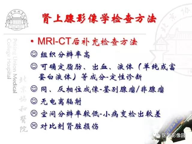 【PPT】肾上腺占位性疾病的影像学诊断