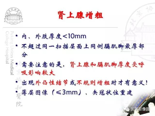 【PPT】肾上腺占位性疾病的影像学诊断
